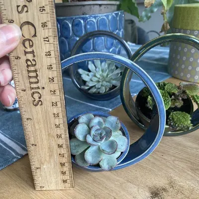 Succulent Pot 5