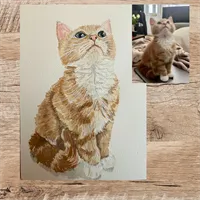 Custom Cat Watercolour Pet Illustration