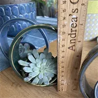 Green Small Plant Pot 3