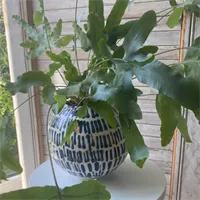 Round Plant Pot - Free Standing