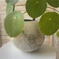 Round Plant Pot 4