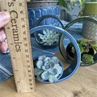 Succulent Pot 5